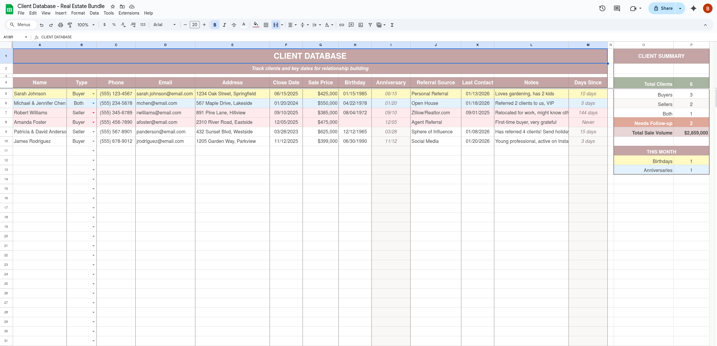 Client Database template preview